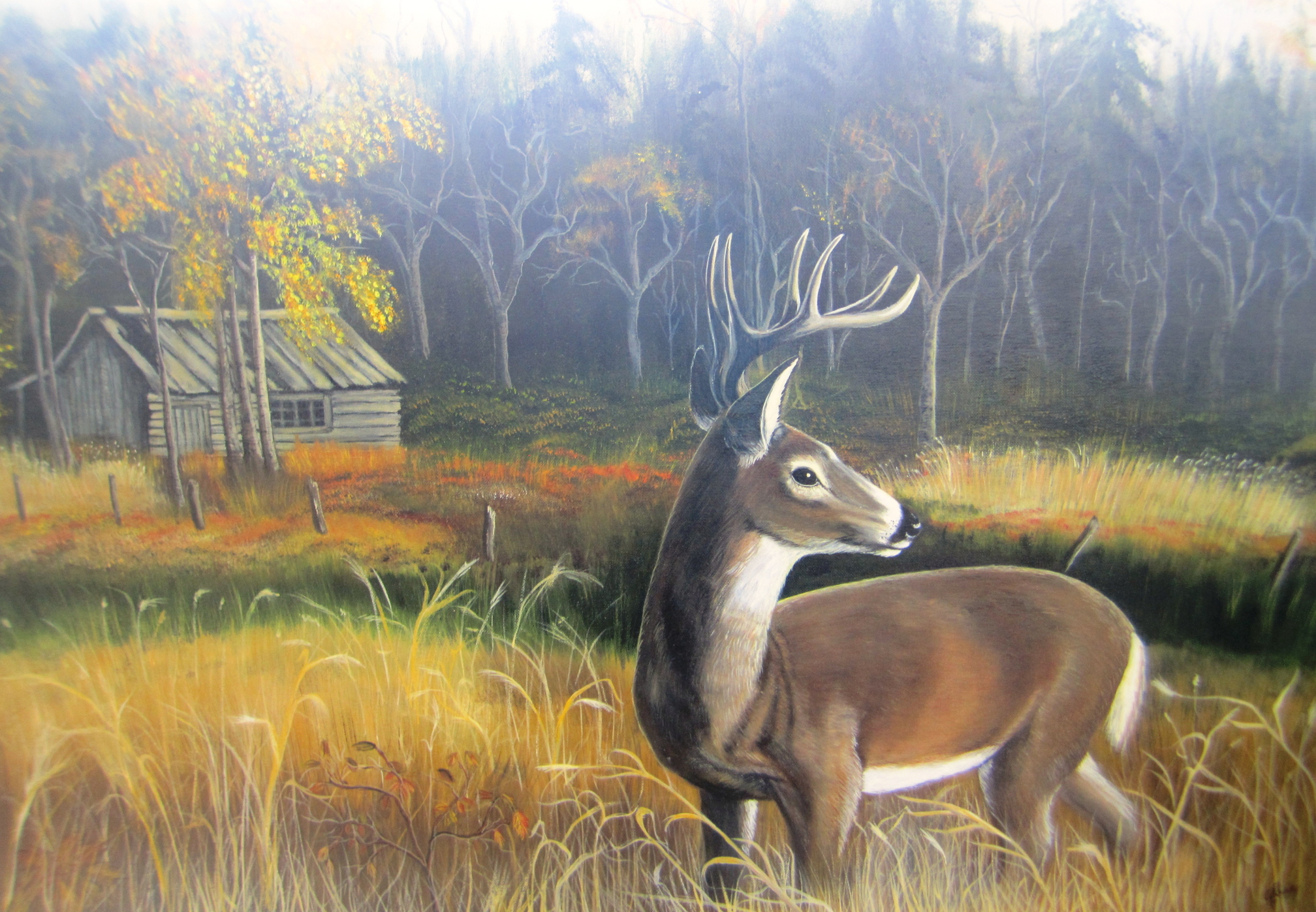 mydeer.jpg